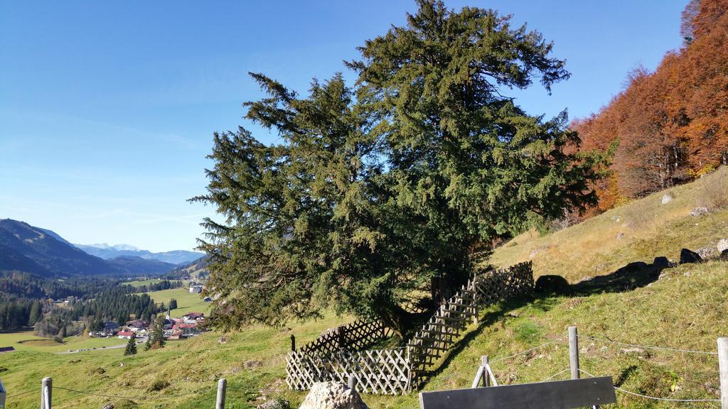 Gaestehaus Bergfrieden Bolsterlang Buitenkant foto